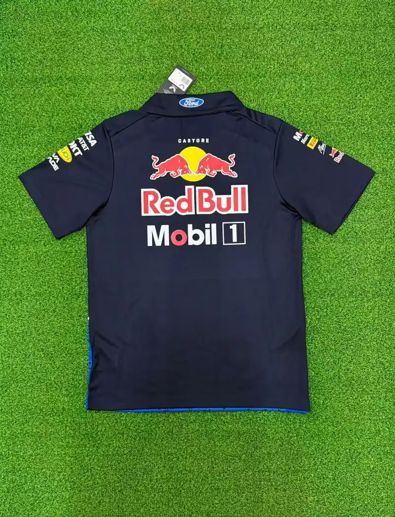 F1 REDBULL thumbnail 2