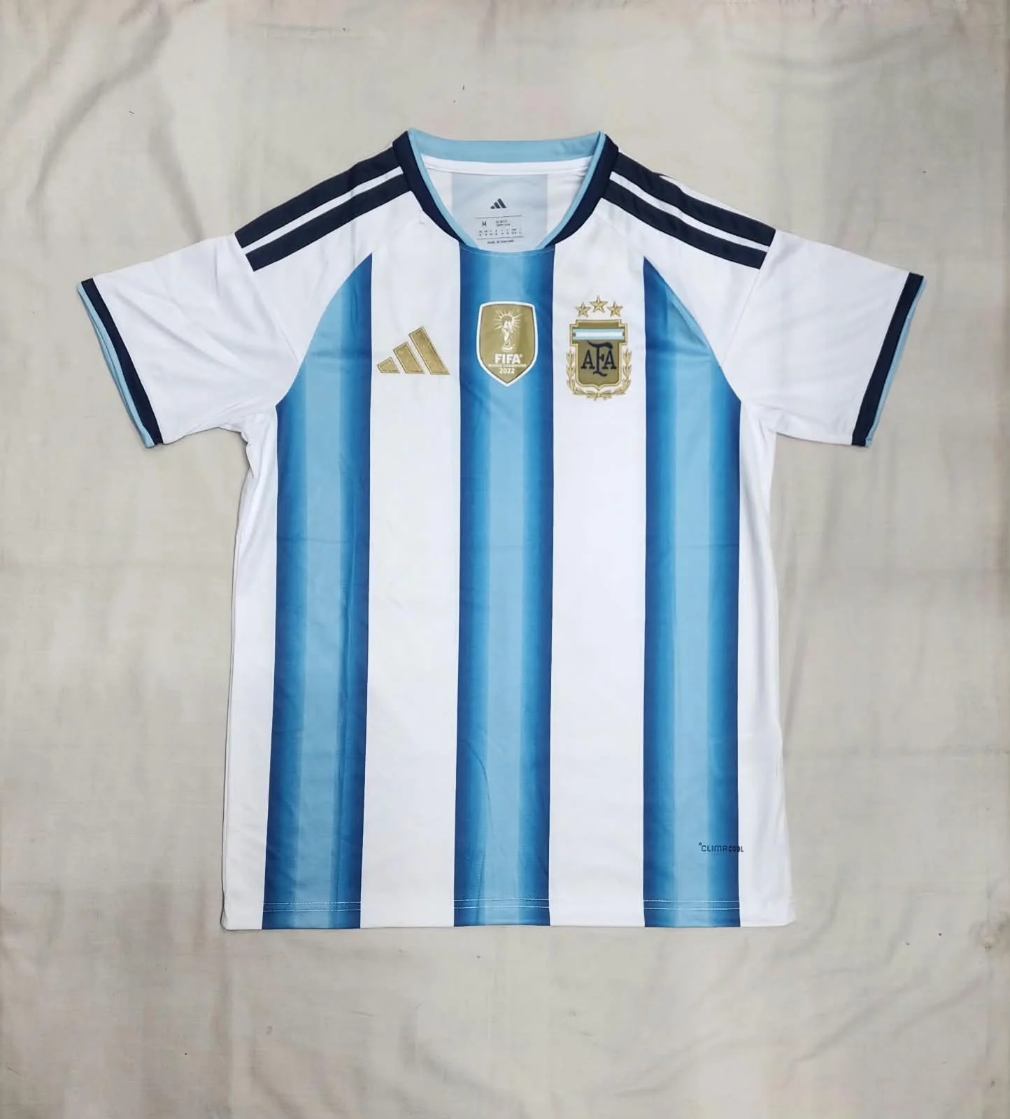 FAN ARGENTINA HOME  2022
